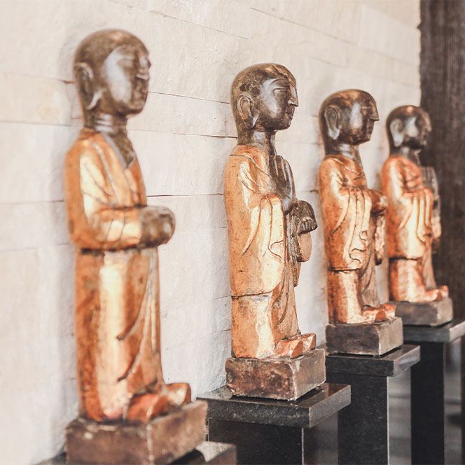 Ganzheitliche Gesundheit & Longevity im Tessin | CHIVA SUN Retreat Erfahrung